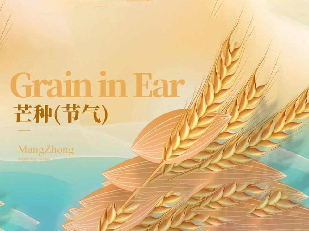 博恩节气∣芒种养生 重在补脾祛湿