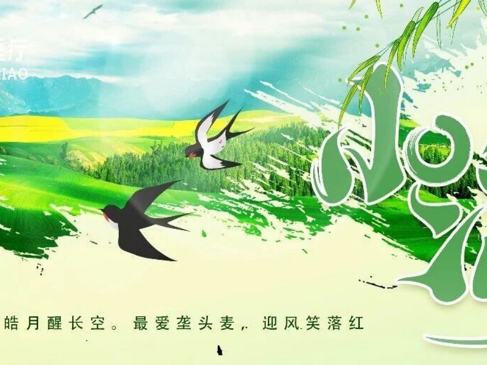 人生最好是小满,花未全开月未圆。
