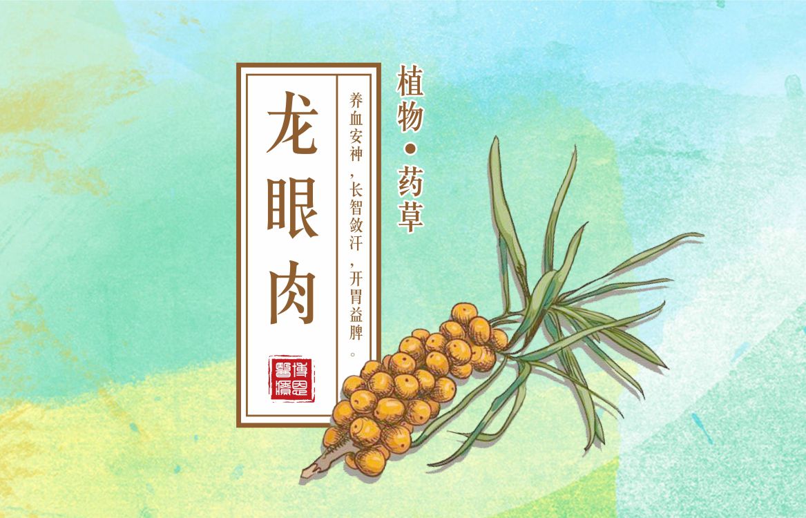 国医文化∣龙眼肉