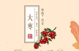 国医文化 ∣ 补中益气，强力，除烦闷的大枣
