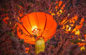 节气|雨水和元宵的美丽邂逅——猜灯谜、舞板龙、放花灯......
