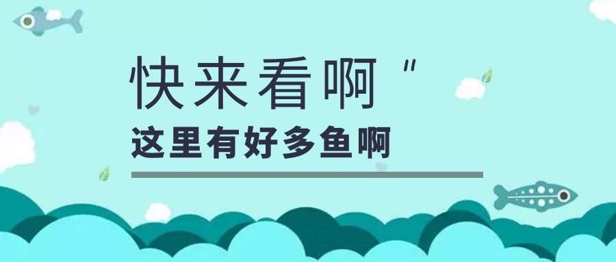养生四季∣秋季滋补 六种鱼类必不可少